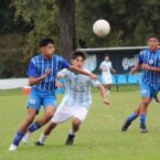 Inferiores AFA