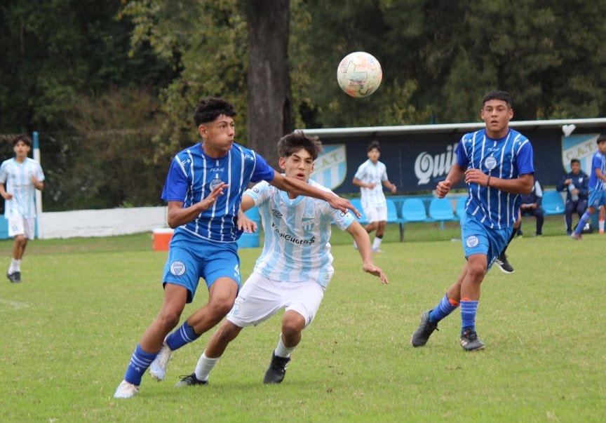 Inferiores AFA