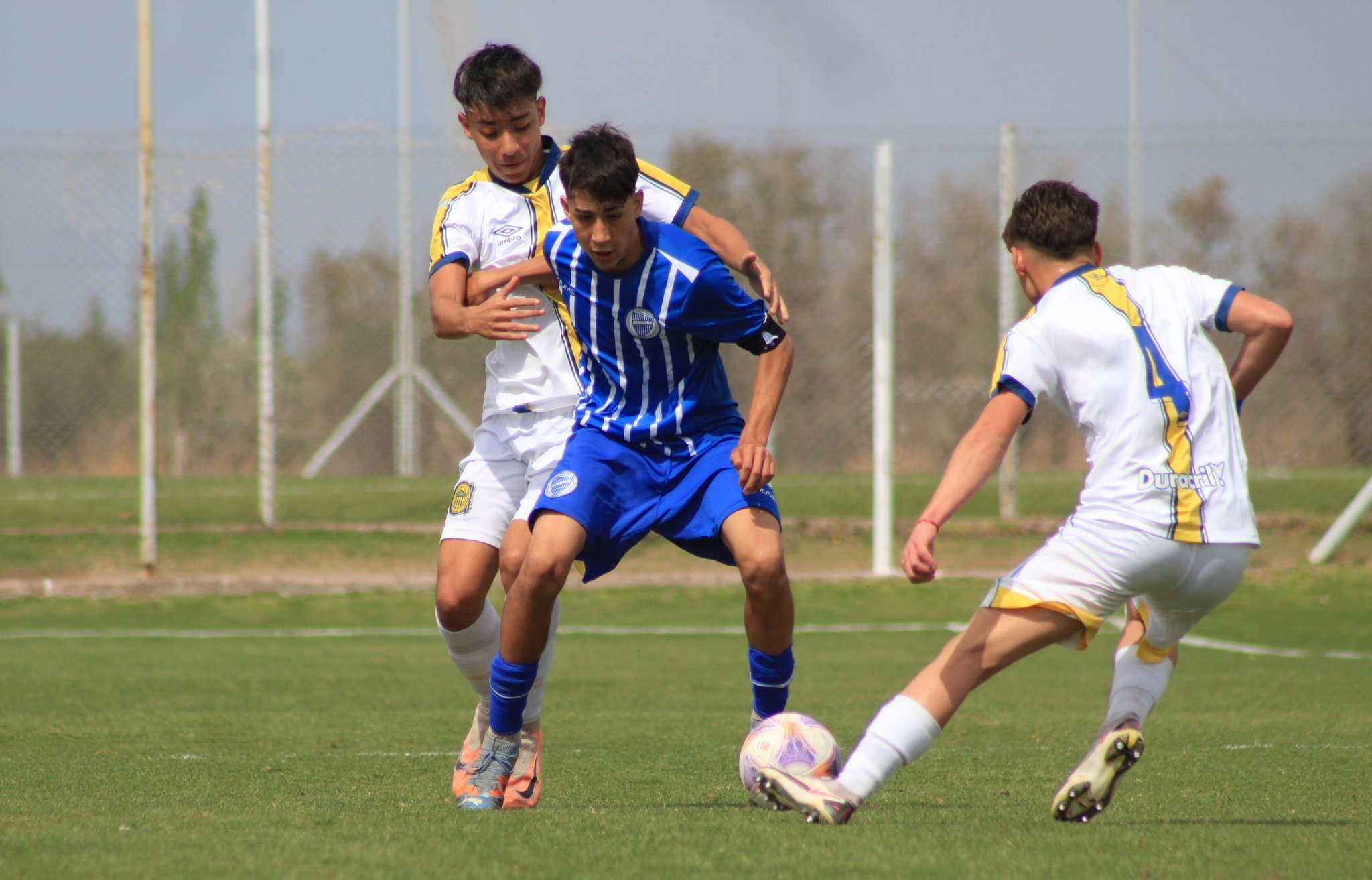 Inferiores AFA 