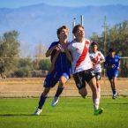 Inferiores AFA