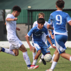 Inferiores AFA