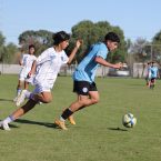 Inferiores AFA