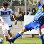 Diego Viera